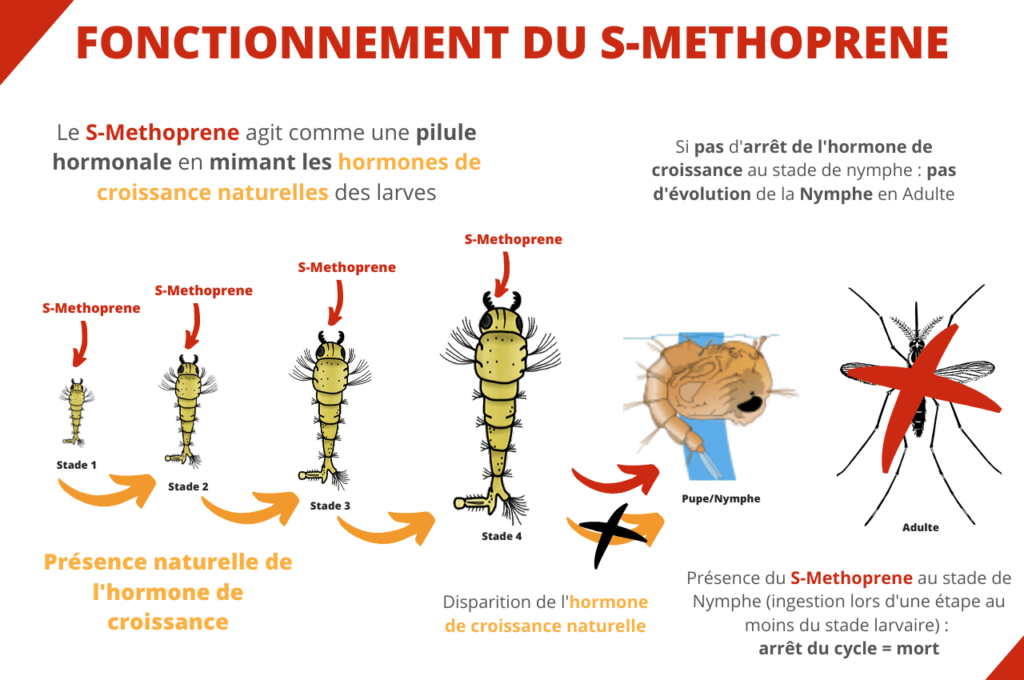 Fonctionnement larvicide moustique Methoprene