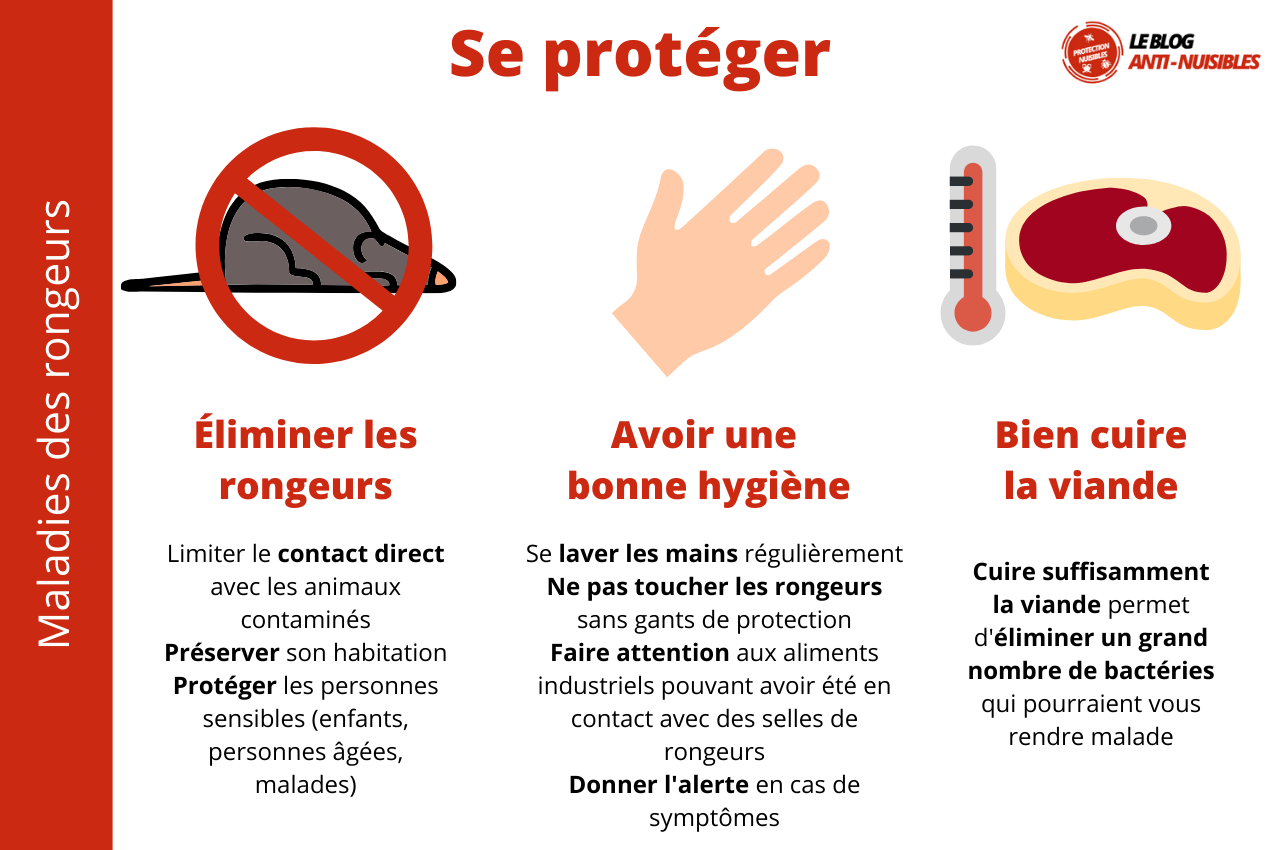 LISTE MALADIES TRANSMISSIBLES PAR LES RATS ET LES SOURIS