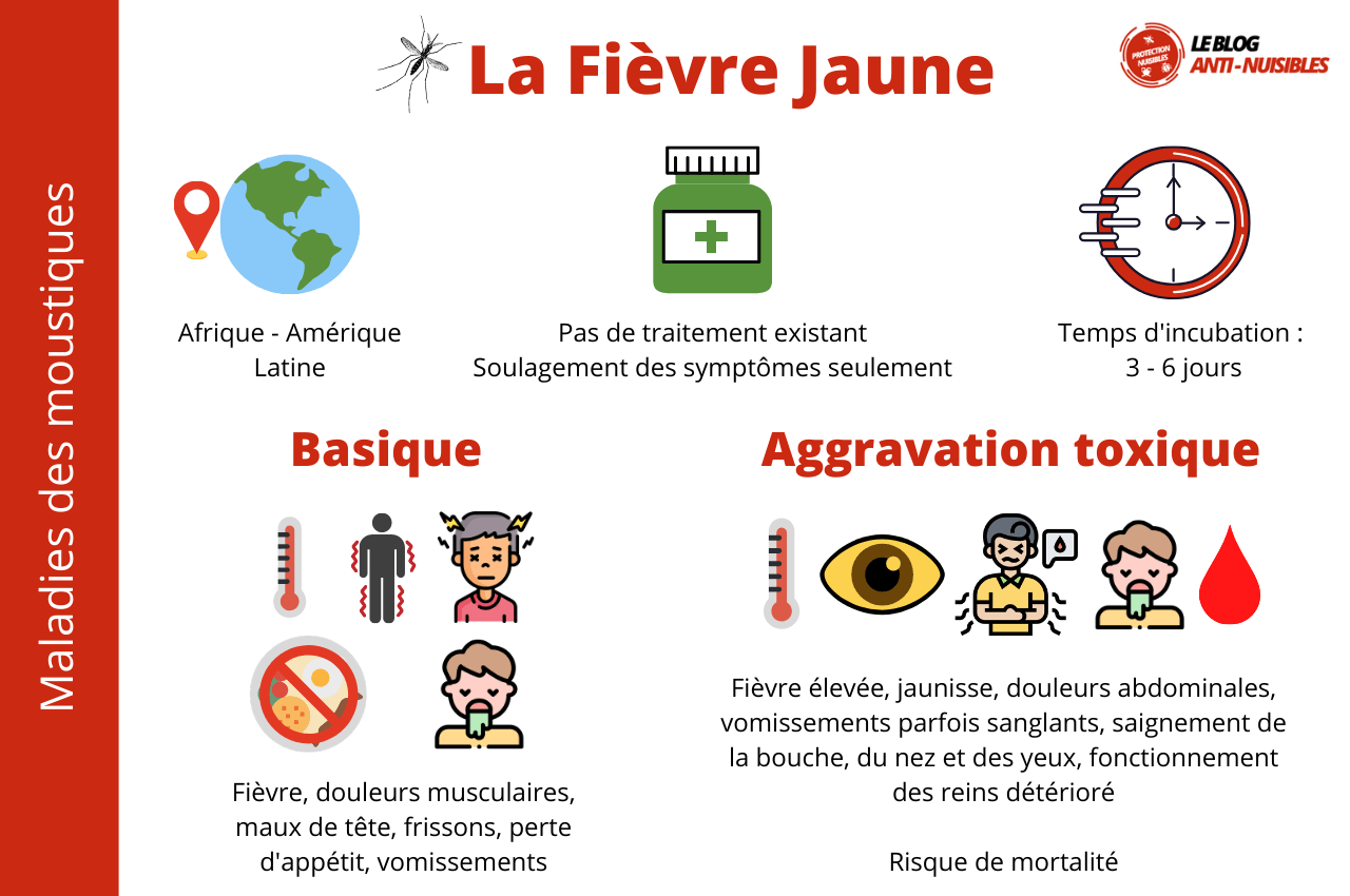 Moustiques les maladies transmissibles à l'Homme