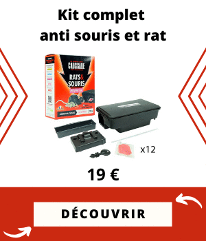 kit anti souris et anti rat
