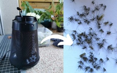 Avis piège moustique biogents bg home pour intérieur