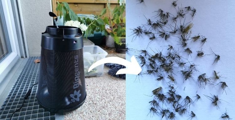 Avis piège moustique biogents bg home pour intérieur