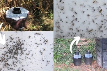 Piège moustique Biogents avis
