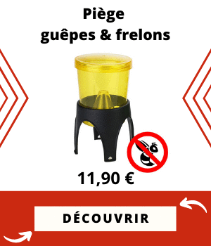 Piège frelons guepes efficace