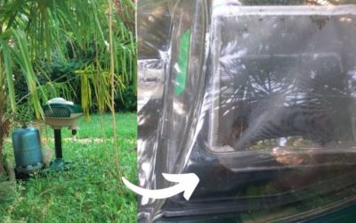 Piège moustique tigre efficace mosquito magnet test