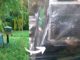 Piège moustique tigre efficace mosquito magnet test